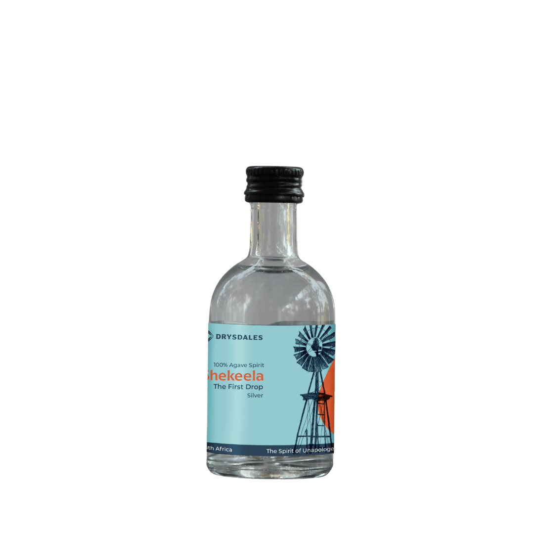 shekeela-silver-mini